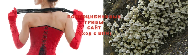 марки lsd Пролетарск