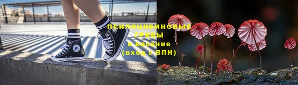 mdpv Аша